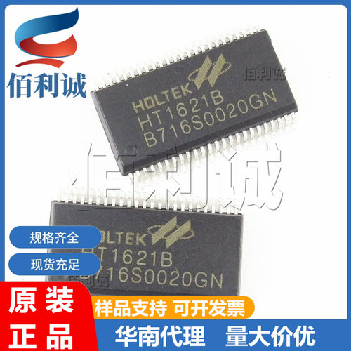 HT1621B SSOP48 SSOP24  HT1621 LCD液晶驱动芯片IC HOLTEK/合泰