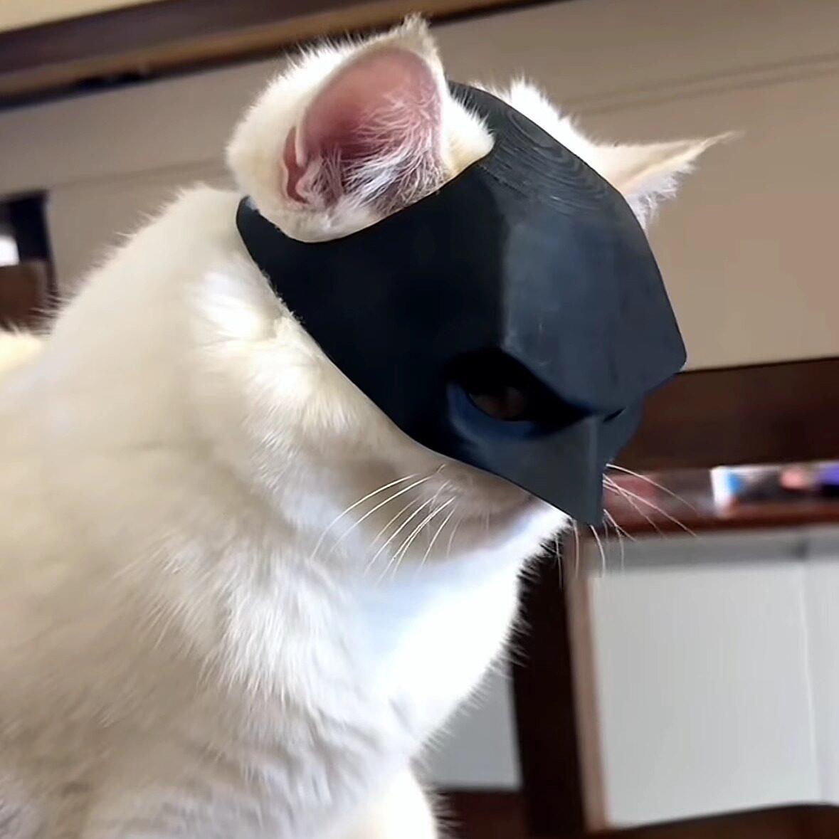 【 猫咪蝙蝠侠安全帽面具】小猫配饰宠物搞怪帅气装饰半脸cos道具