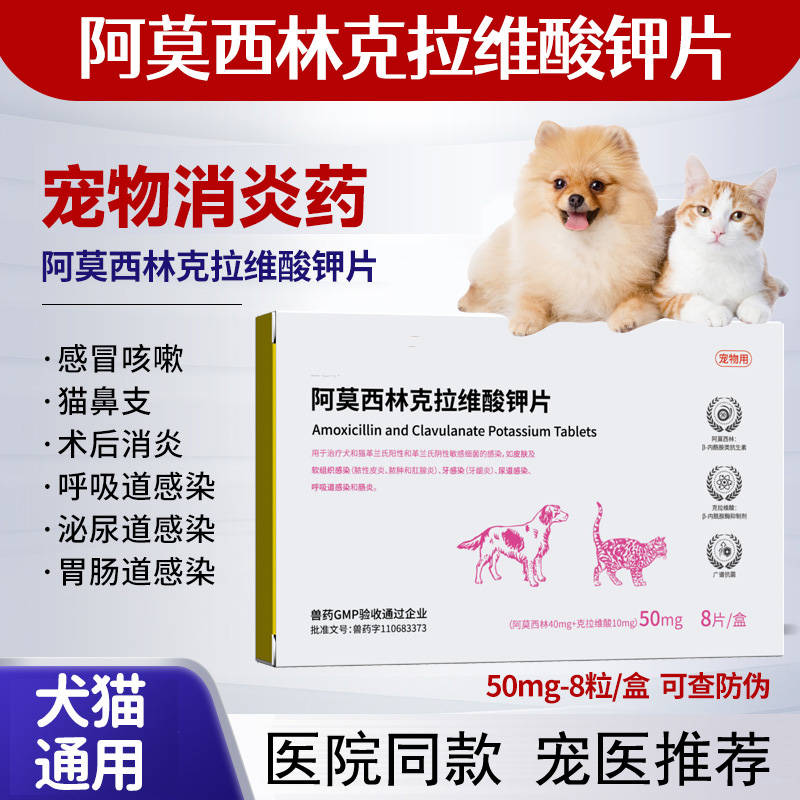 速诺阿莫西林消炎片感冒药猫鼻支