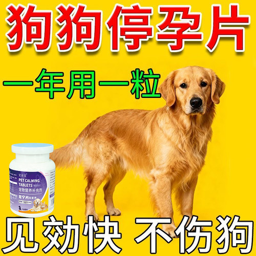 狗狗永久绝育药发情抑制