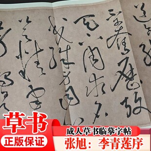 经折第三辑 李青莲序 原文原贴历代书法名帖经折装系列 鉴赏中国古代书法名家作品赏析书法字帖成人练字帖名家书法鉴赏书法临摹贴