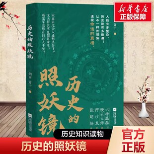 历史的照妖镜 烟雨 萧十一 著 以岳飞之死为镜像 多维度剖析权力游戏与人性大戏 六神磊磊馒头大师等推荐 江苏凤凰文艺出版社