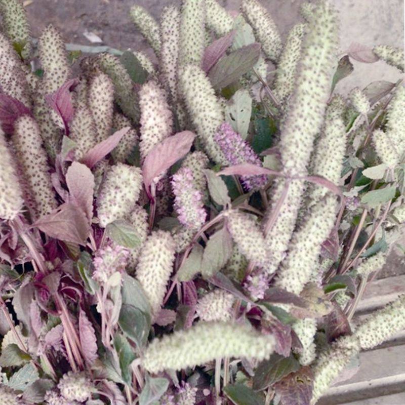 木姜花贵州毕节土特产食用毛菇花朵蘸水特色调味料野生晒干木姜花