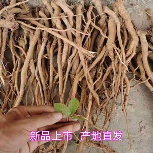 野生千斤拔红皮白心贵州新鲜晒干千金拔一条根老鼠尾吊马桩金牛尾