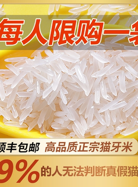 欢禾猫牙米泰国香米长粒香米2025新米泰国茉莉香米丝苗米5kg 10kg