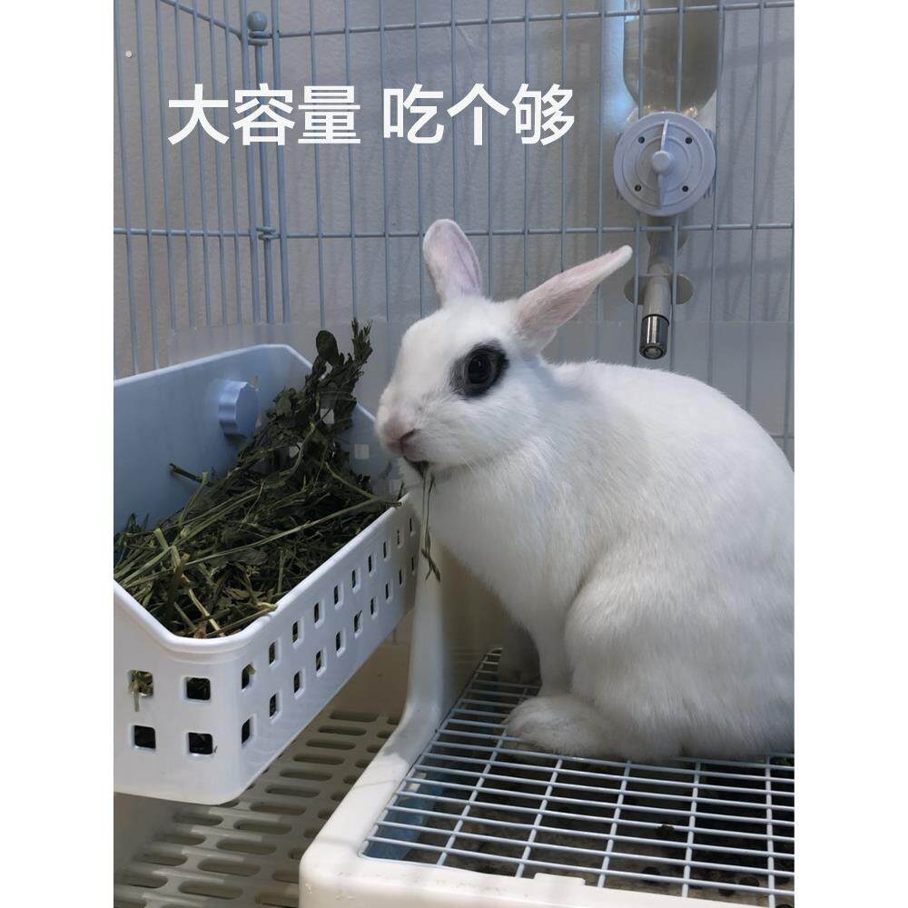 兔子草架大容量草筐 龙猫荷兰猪豚鼠草篮子牧草食盆不漏草兔用品