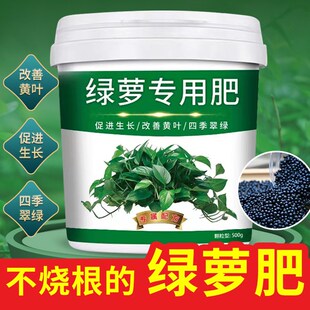 速发绿萝专用厚颗粒缓释型酸根壮苗叶片肥肥增营养调增碱防板结