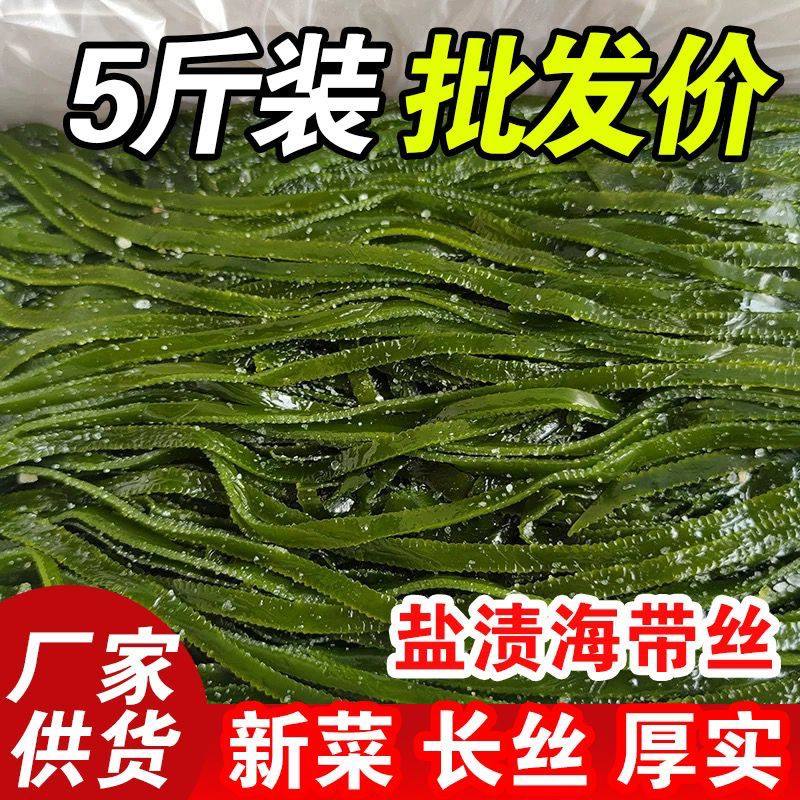 大连新鲜少盐渍特级海带商用款凉拌一整箱无沙加厚海带丝大连特产