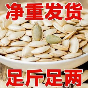新鲜生南瓜子新货带壳新瓜子散装不含干燥剂颗粒中大片生原味货