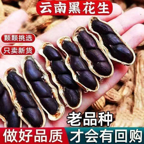 富硒黑花生正品云南黑花生带壳紫衣花生黑衣养胃生花生整箱批发