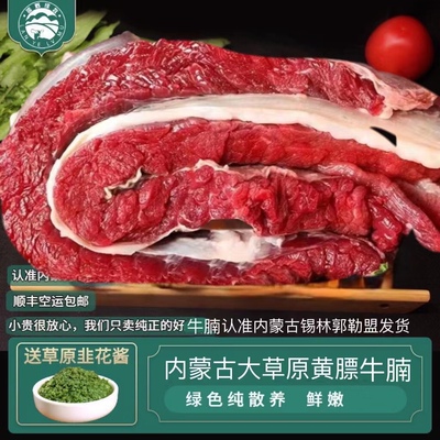 黄膘牛腩正宗内蒙古散养黄牛肉无骨牛腩新鲜冷冻肥瘦相间