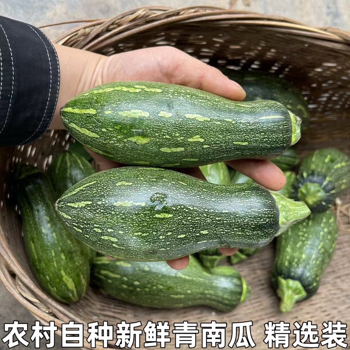 新鲜嫩南瓜长南瓜小窝瓜青南瓜迷你小南瓜长条嫩南瓜农家自种包邮
