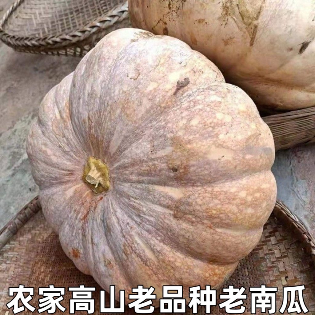 农家自种磨盘圆南瓜新鲜老品种老黄南瓜蔬菜新鲜辅食老南瓜粉糯甜,水产肉类/新鲜蔬果/熟食,南瓜,淘宝优惠券,粉丝福利购,淘宝优惠卷