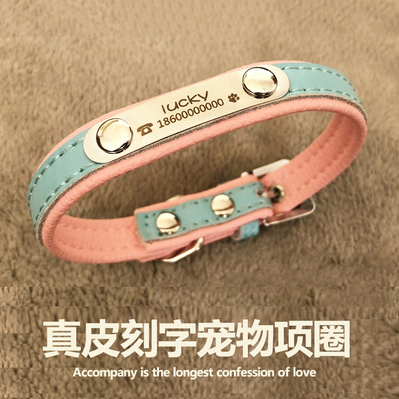 猫牌项圈刻字定做牛皮可爱猫咪泰迪防丢猫牌可调节脖圈身份牌宠物