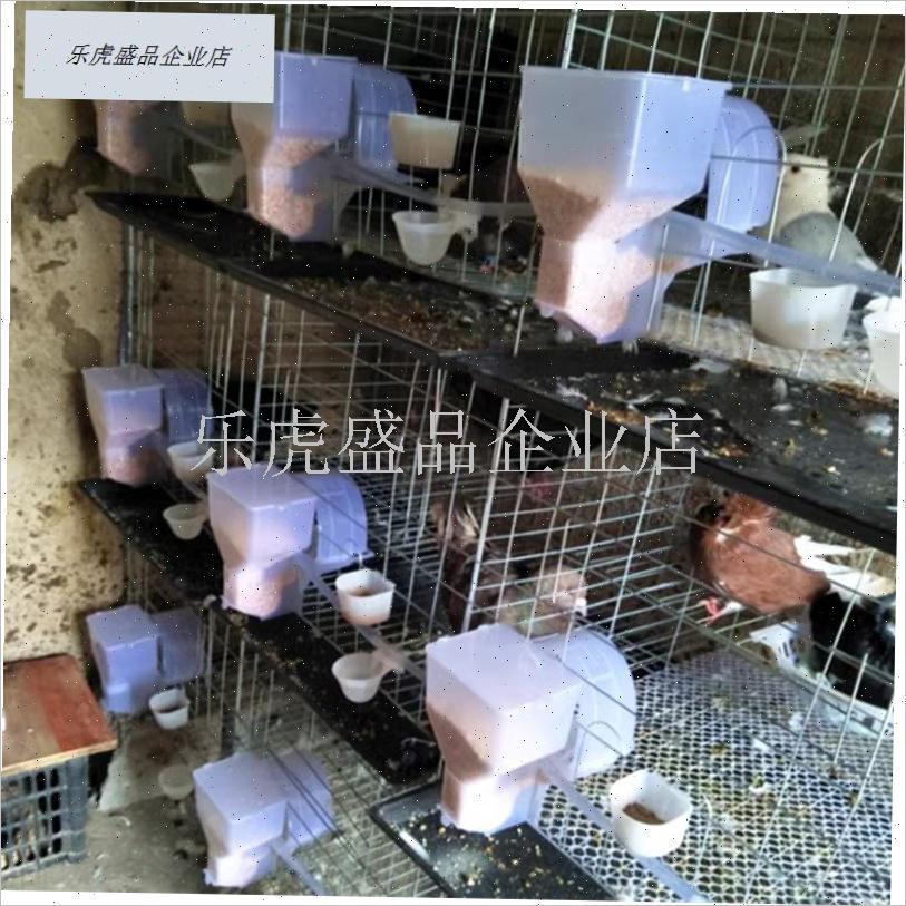 鸽子自动食槽喂食下料器料槽肉鸽养殖用品笼养殖U食槽鸽子用品用.