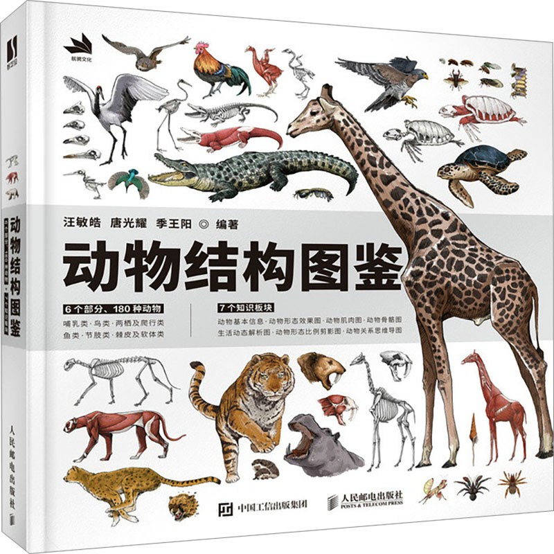动物结构图鉴汪敏皓,唐光耀,季王阳 著9787115631909书籍/杂志/报纸/艺术/艺术