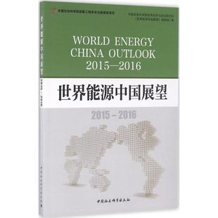 世界能源中国展望世界经济与政治研究所《世界能源中国展望》课题组 著9787516182567