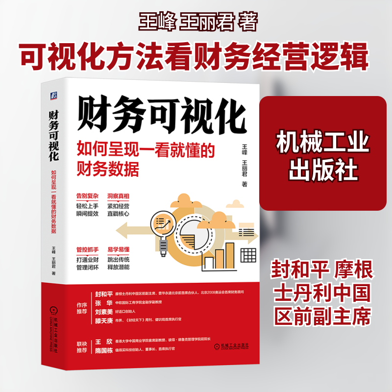 财务可视化 如何呈现一看就懂的财务数据王峰,王丽君 著9787111741787书籍\/杂志\/报纸/经济/会计