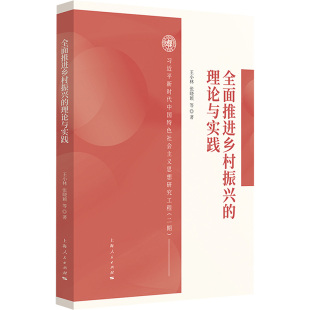 理论与实践王小林等 经济 著9787208194144书籍 报纸 经济理论 杂志 全面推进乡村振兴