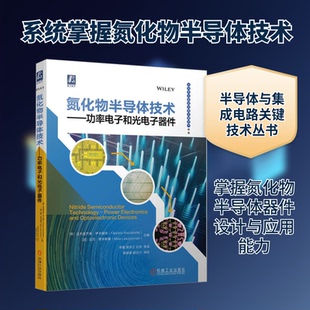 氮化物半导体技术——功率电子和光电子器件(意)法布里齐奥·罗卡福特,(波)迈克·莱辛斯基 编 李晨 等 译9787111728733