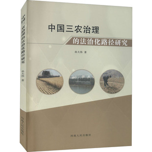 中国三农治理的法治化路径研究孙大伟9787215110083书籍\/杂志\/报纸/法律/学理