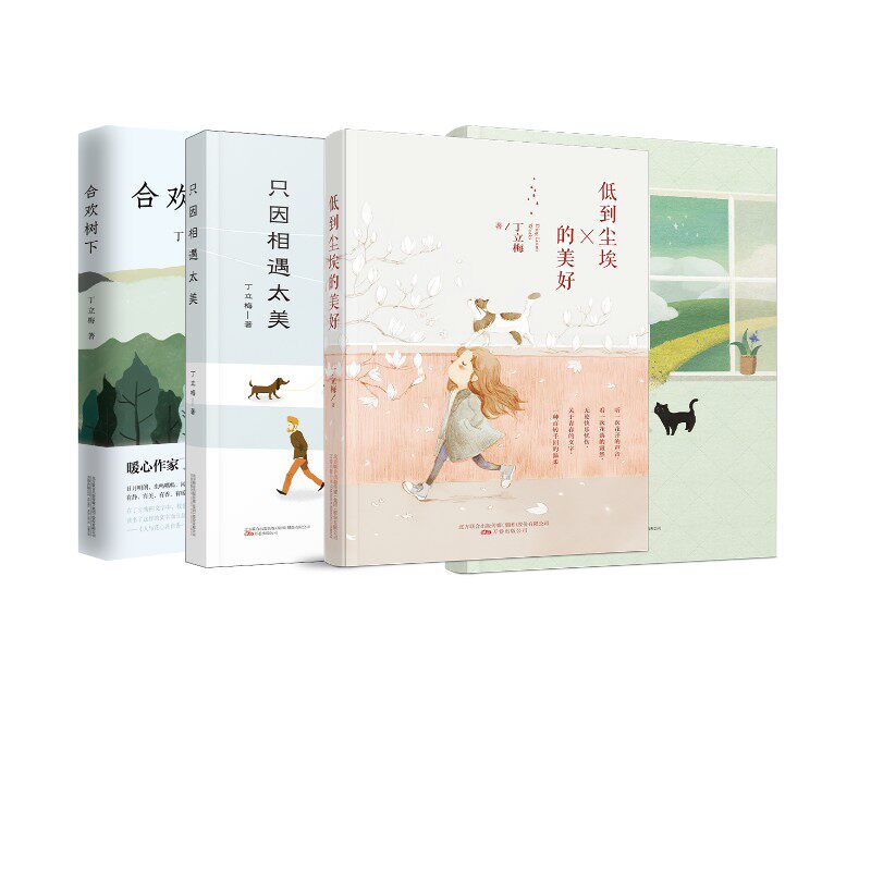 丁立梅作品 合集4册丁立梅 著9787547056271书籍\/杂志\/报纸/文学/文学