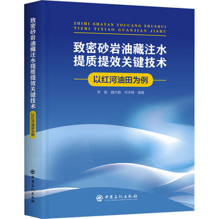致密砂岩油藏注水提质提效关键技术 以红河油田为例罗懿 等 编9787511470867书籍\/杂志\/报纸/工业/农业技术/能源与动力工程
