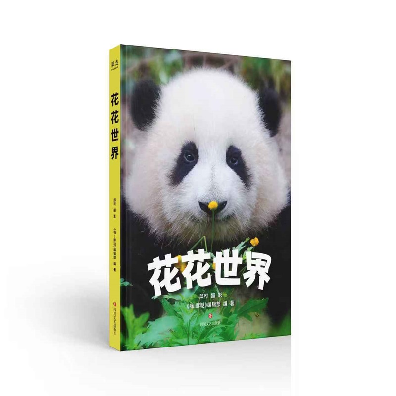 花花世界邱可《嗨!胖哒》编辑部 著 著9787541173349书籍\/杂志\/报纸/艺术/摄影艺术（新）
