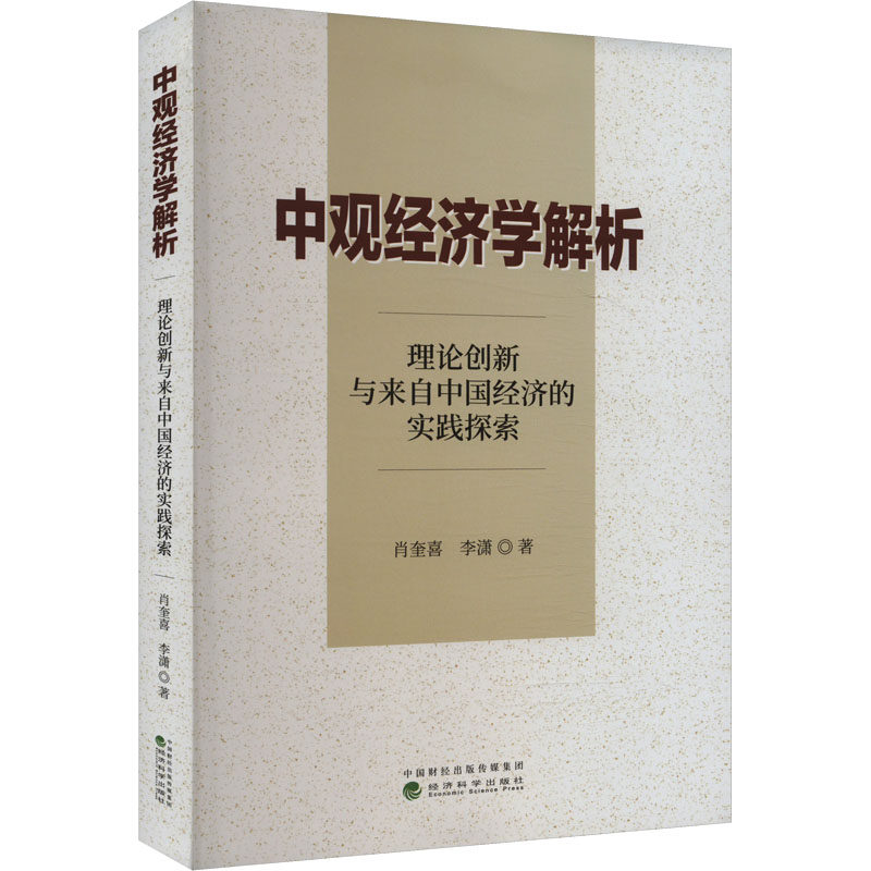 中观经济学解析 理论创新与来自中国经济的实践探索肖奎喜,李潇 著9787521861037书籍\/杂志\/报纸/经济/经济理论