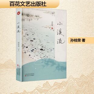 小溪流孙桂荣 著 著9787530692844书籍\/杂志\/报纸/文学/文学
