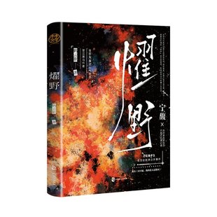 爱人是祖国流大女主苏爽强国文宁馥热烈奔放研究员x不畏鹤云歌9787514521450 我 燿野 原名：对不起