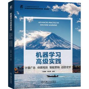 动态定价王聪颖 机器学习高级实践 智能营销 供需预测 谢志辉9787111736547 计算广告