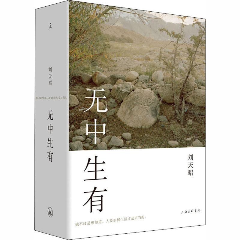 无中生有刘天昭9787542663559书籍/杂志/报纸/文学/现代/当代文学