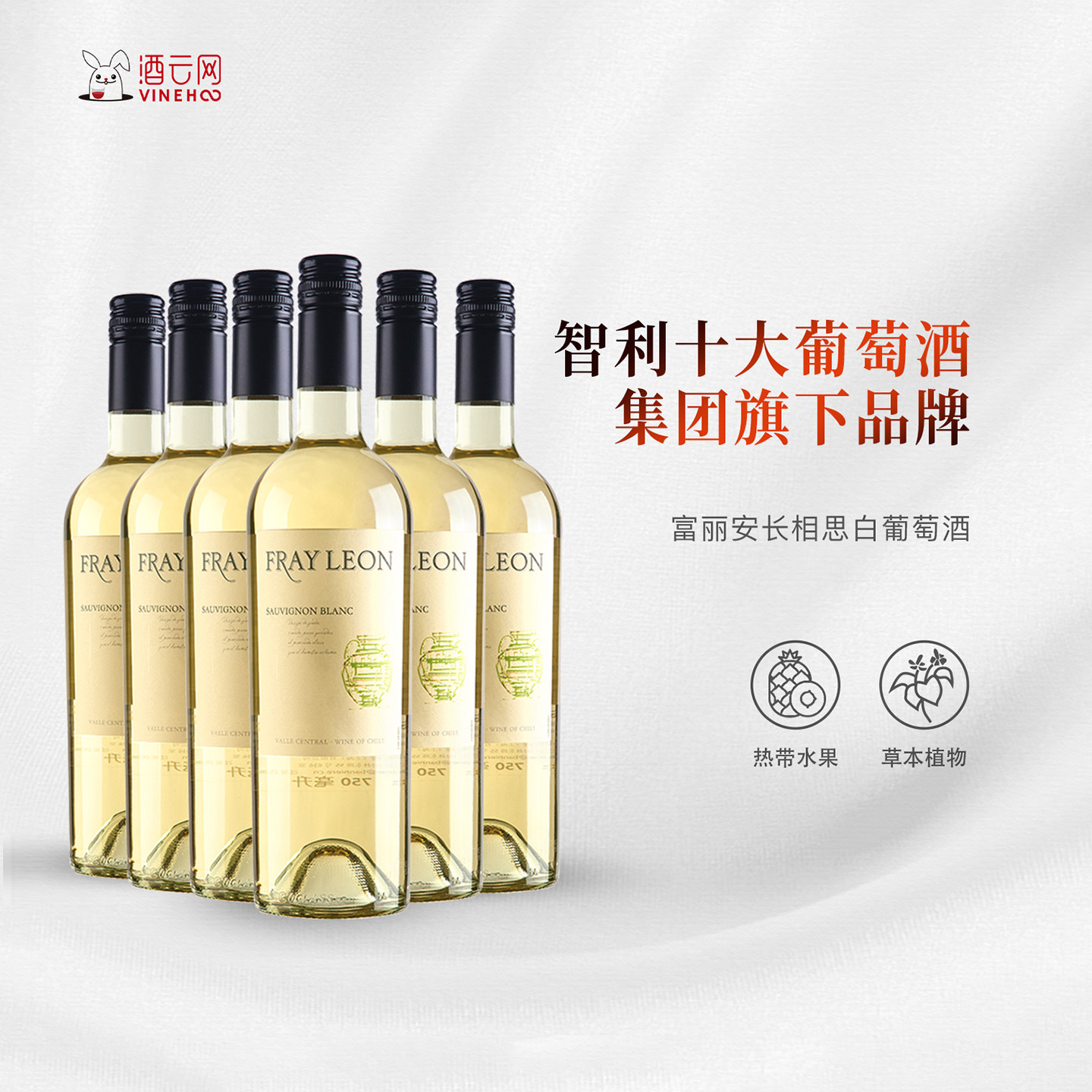 酒云网 智利长相思 富丽安fray leon干白葡萄酒整箱6支原瓶进口