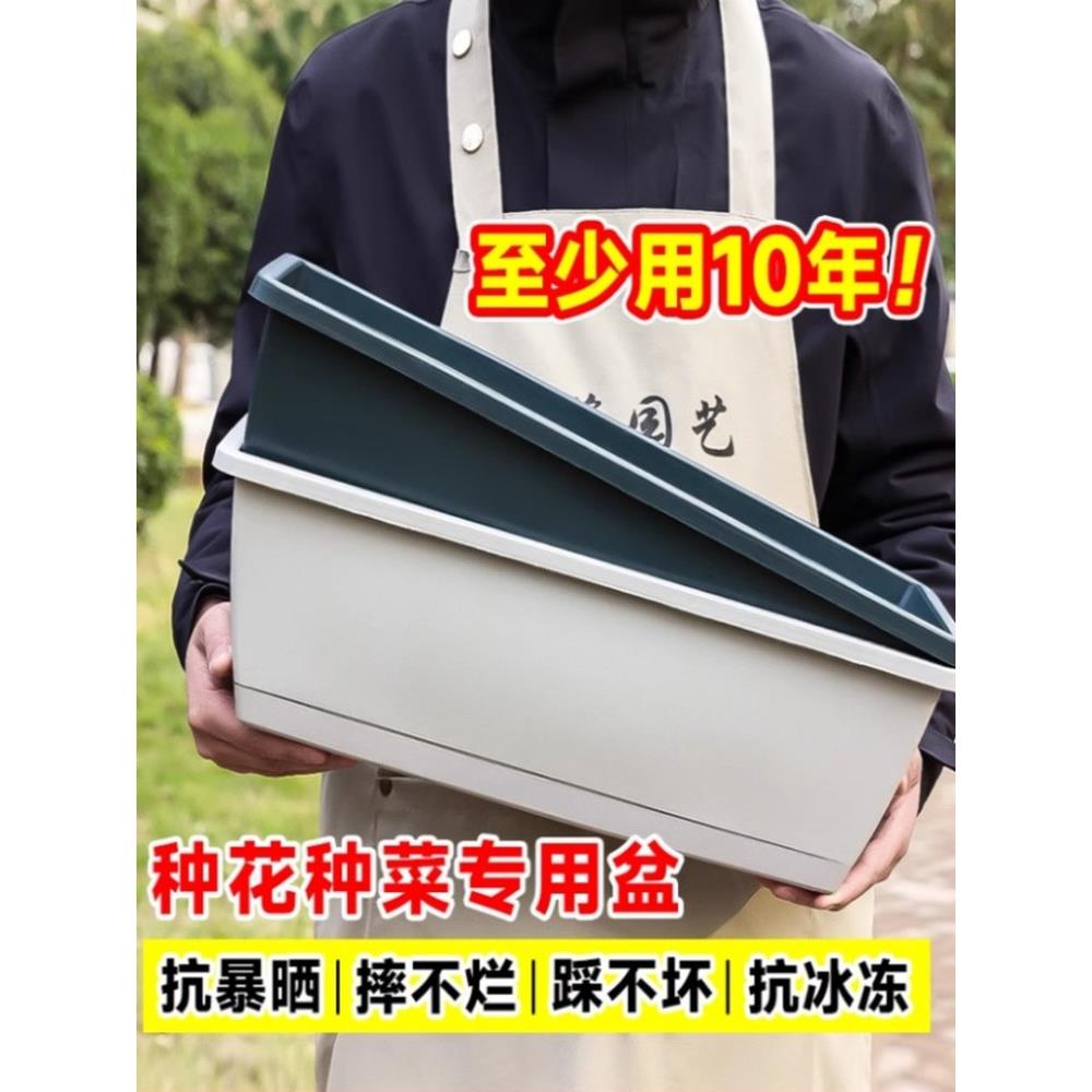 长方形养花种菜盆家用阳台蔬菜种植塑料草莓盆栽专用箱长条槽