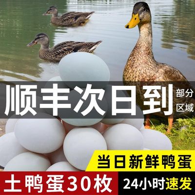 鸭蛋新鲜生鸭蛋土鸭蛋农家散养非海鸭蛋绿壳青皮鸭蛋30枚整箱