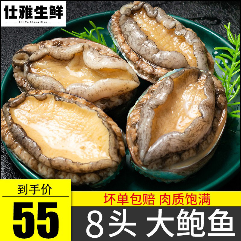新鲜鲍鱼海鲜水产鲜活冷冻500g袋装特大个超大鲜鲍鱼非小鲍鱼生鲜