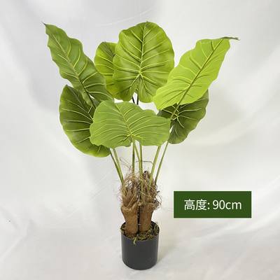 北欧大型橱窗仿真植物落地棕榈葵树假盆栽室内绿植摆件散尾葵装饰