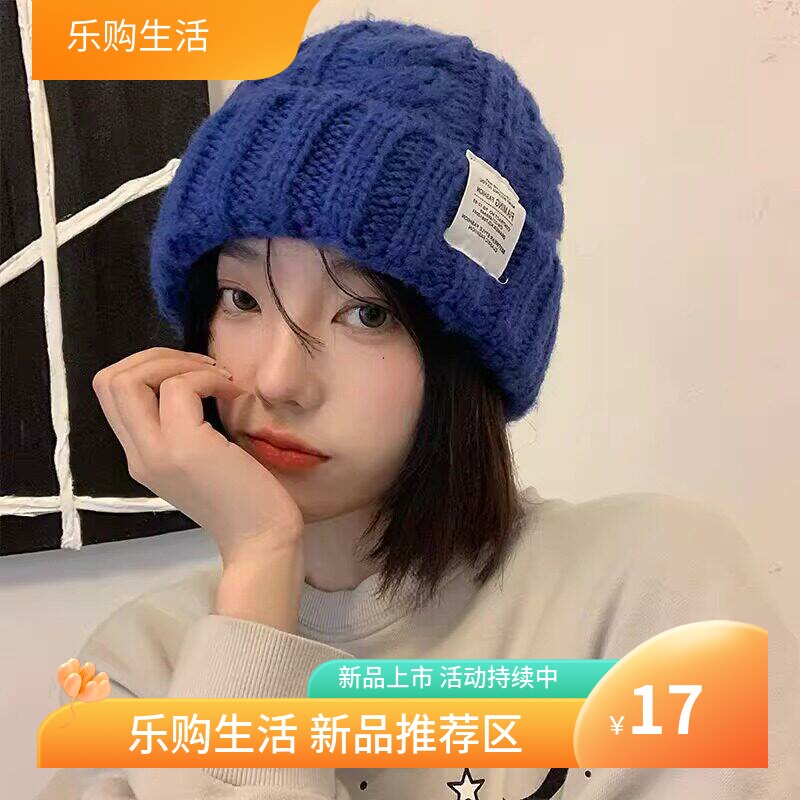 秋冬时尚针织帽女款韩版时尚麻花毛线帽保暖护耳多色可选休闲