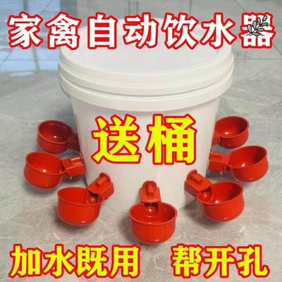 喂鸡食槽水槽一体喂鸡懒人神器出远门农村自动喂鸡家禽养殖小鸡鸭