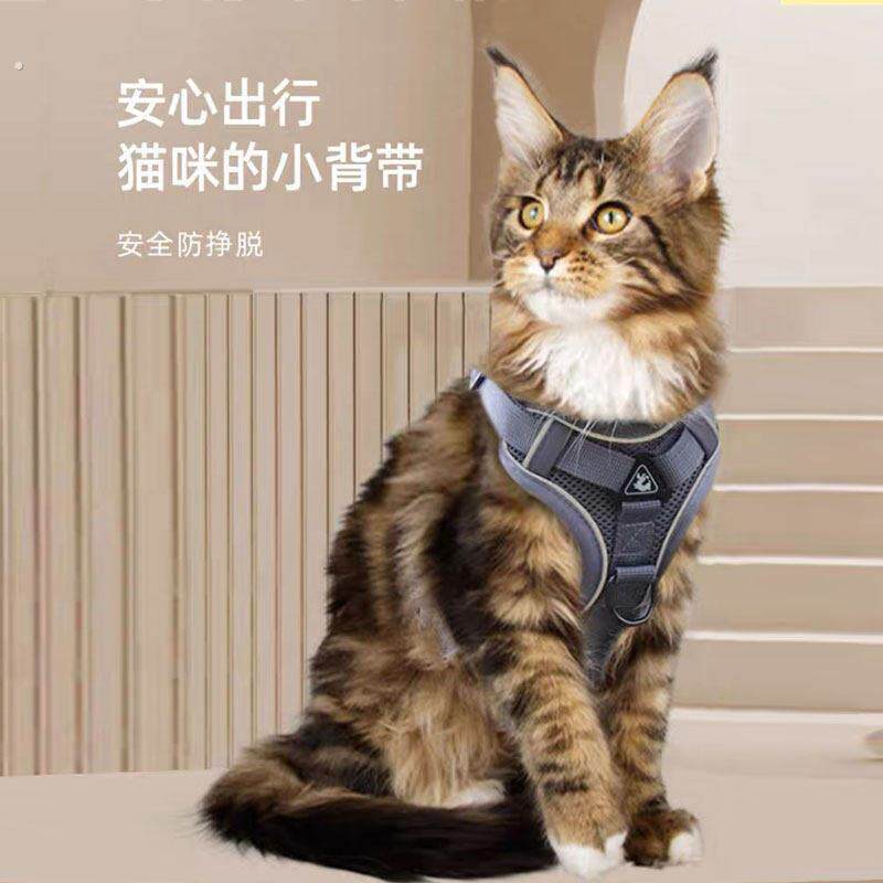 缅因猫牵引绳防挣脱外出专用遛猫绳溜猫神器布偶猫咪牵引绳背心式