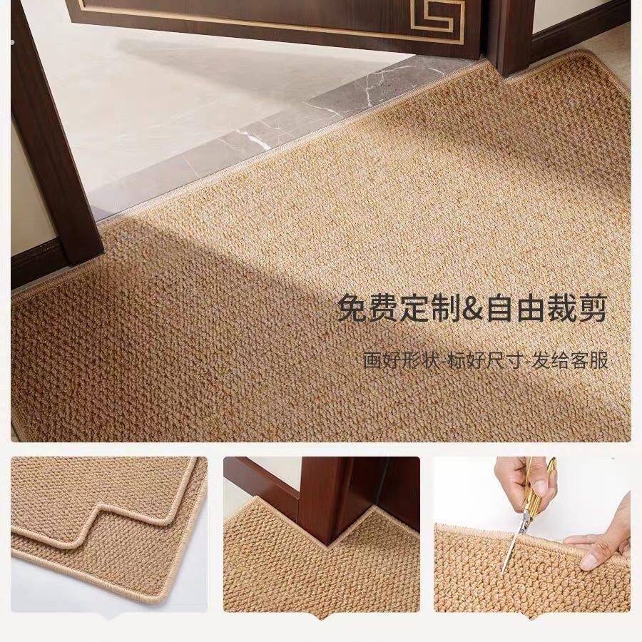 家居地毯加厚大面积猫爪飘窗客厅卧室家用玄关地垫地毯