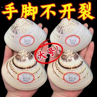 老上海蛤蜊油护手霜冬天滋润防干裂手油老式嘎啦油蚌壳歪子油贝壳