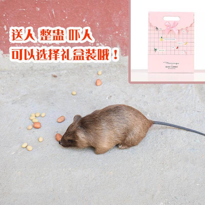 真仿真老动物模型公鼠仔玩偶假吓人整盅皮3362神器耗子家居摆件