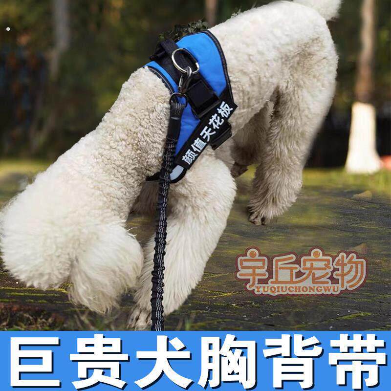 巨型贵宾犬巨贵犬专用狗狗胸抱婴袋牵引绳项圈遛狗绳链子大型犬用