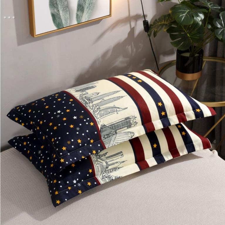 枕套50cmx80cm一对装成人加大加厚宿舍纯棉枕芯家居单人情侣枕皮