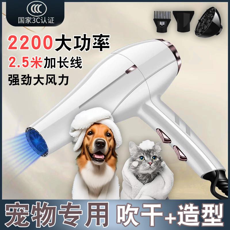 宠物吹风机洗澡专用大功率电吹水机猫咪狗狗家用静音吹毛拉毛神器