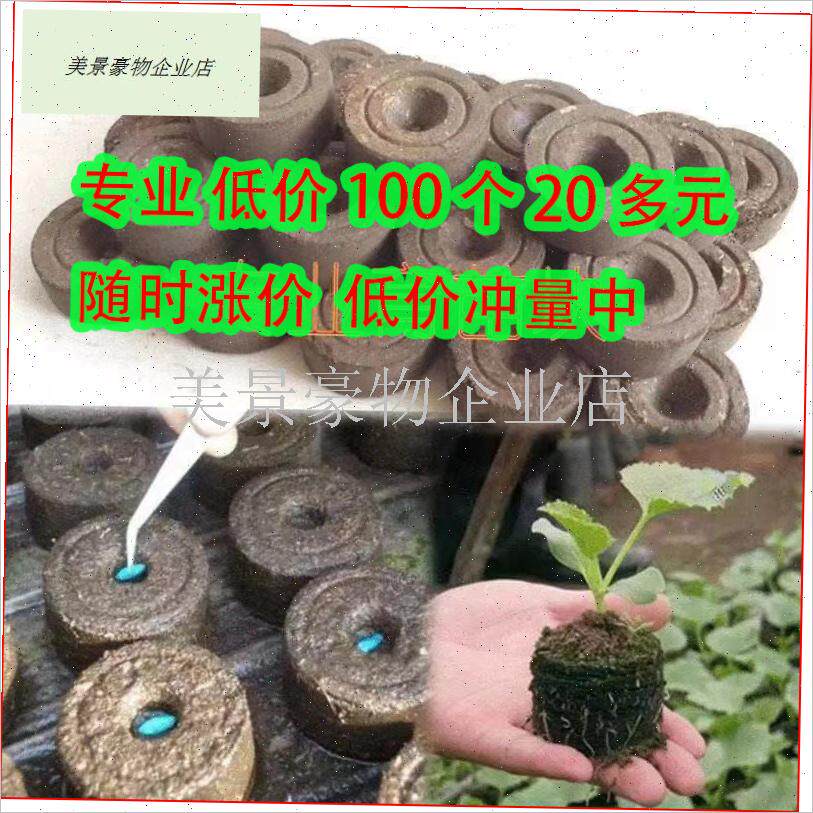 100 b块育苗盘非进口压缩泥土扦插培育营养土基质育苗盒播种穴盘.