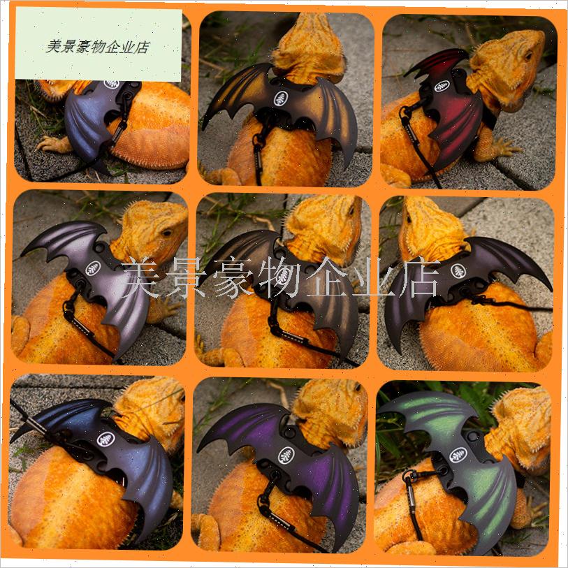 鬃狮蜥蜴牵引绳爬宠外出牵引带遛守宫蜥蜴绳小宠T皮革翅膀牵引绳.