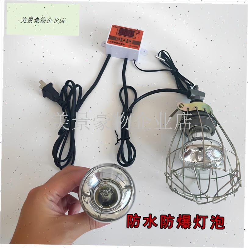 小鸡育雏保温箱自动控制温度鹌鹑育雏箱幼鸟宠物V保温箱幼苗保温.